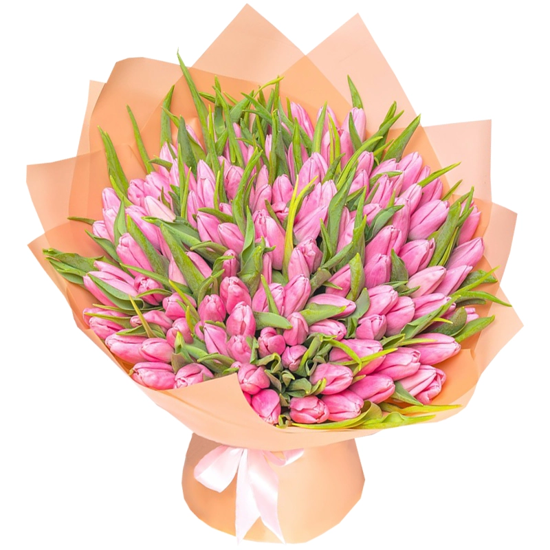 101 ярко розовый тюльпан