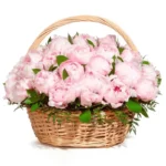 Корзина с цветами Дитя погоды